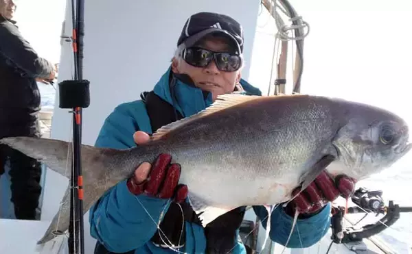 「【沖釣り釣果速報】テンビン五目で7kgメダイ浮上！イサキ・アカイサキ交じり多彩釣果（福岡）」の画像