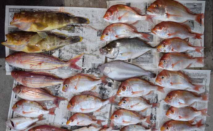 【沖釣り釣果速報】テンビン五目で7kgメダイ浮上！イサキ・アカイサキ交じり多彩釣果（福岡）