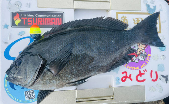 深島の磯で40cm超え良型クロが連発！ 潮変わりにはオオモンハタも登場【大分】