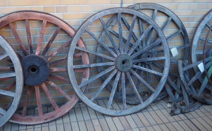 クルマエビが名前に「車」と付くワケ　他にもいる「クルマ」が入る魚介類