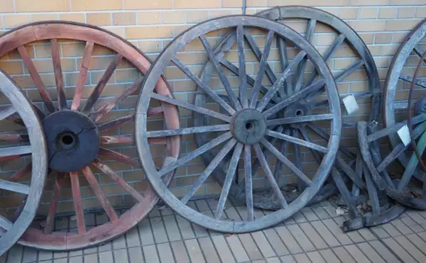 「クルマエビが名前に「車」と付くワケ　他にもいる「クルマ」が入る魚介類」の画像