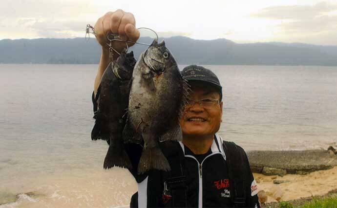 イカダからのサンバソウ釣りで25cm頭に6匹　カラス貝エサにヒット
