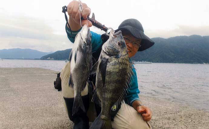 イカダからのサンバソウ釣りで25cm頭に6匹　カラス貝エサにヒット