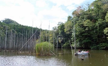 吉田康雄のザ・チャレンジへらぶな【完デコのリベンジin片倉ダム#2】