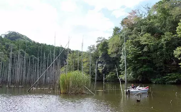 吉田康雄のザ・チャレンジへらぶな【完デコのリベンジin片倉ダム#2】