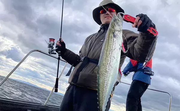 奥伊勢湾のサワラキャスティングゲームで60cm級サゴシ手中　スロージャークに反応