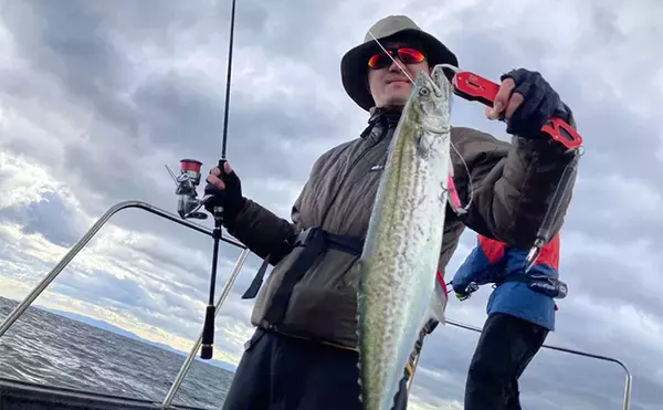 「奥伊勢湾のサワラキャスティングゲームで60cm級サゴシ手中　スロージャークに反応」の画像