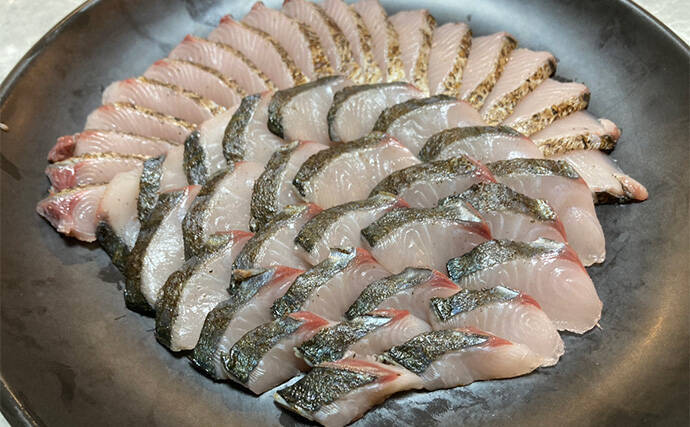 奥伊勢湾のサワラキャスティングゲームで60cm級サゴシ手中　スロージャークに反応