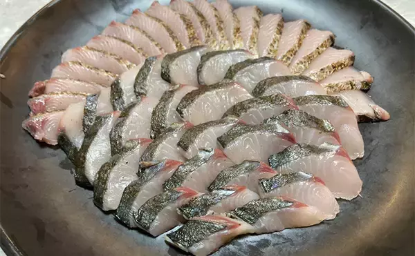 「奥伊勢湾のサワラキャスティングゲームで60cm級サゴシ手中　スロージャークに反応」の画像