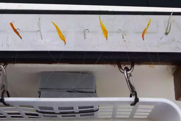 「明石沖のボート釣りで食べ頃サイズのマダイ5匹手中【兵庫】チョクリ仕掛けで挑戦」の画像