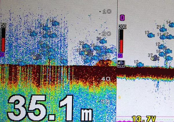 「明石沖のボート釣りで食べ頃サイズのマダイ5匹手中【兵庫】チョクリ仕掛けで挑戦」の画像