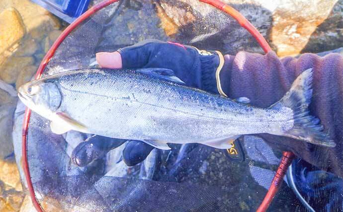 2022年オススメ渓流釣り場紹介：岐阜・益田川　序盤の狙い方も解説