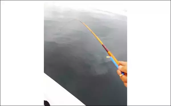 「マイボートキス釣りで18cm級中心に5尾　自作の竹ザオでマネキ釣り」の画像