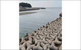 「大阪湾「泉南」エリアの釣り場紹介 【地形の特徴と釣れる魚種を解説】」の画像3