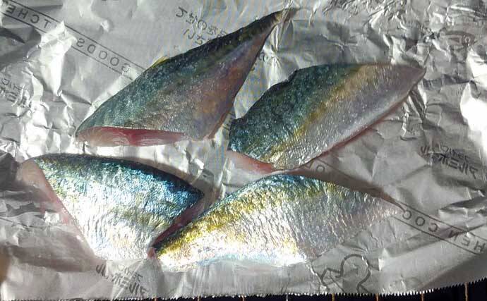 釣った魚で作る「超あっさり」レシピ：ゴマサバの薄塩　少し干すのがコツ