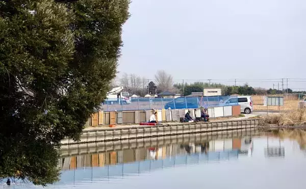 今週のヘラブナ推薦釣り場2026【千葉県・道の口沼】