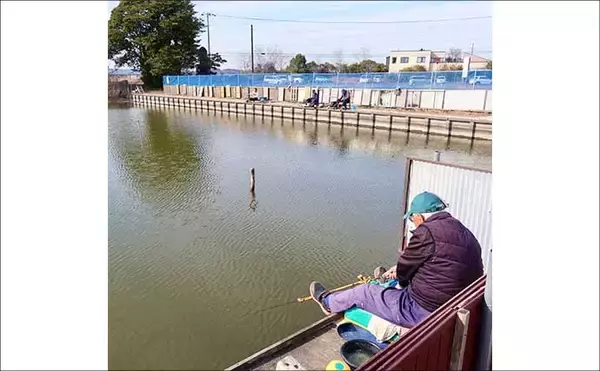 「今週のヘラブナ推薦釣り場2026【千葉県・道の口沼】」の画像