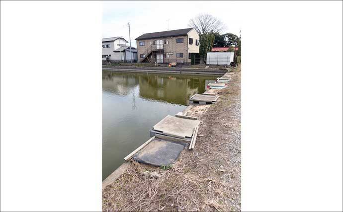 今週のヘラブナ推薦釣り場2026【千葉県・道の口沼】