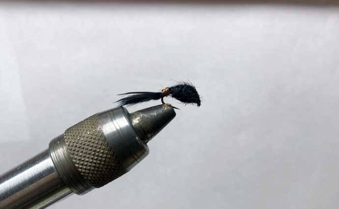 「しらこばと水上公園」でのプールフィッシングでニジマス12匹　重めのフライが的中