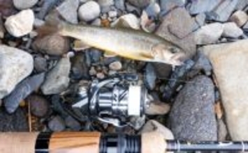 渓流ルアー釣りでニジマス・イワナ・ヤマメと対面成功【荘川・岐阜】