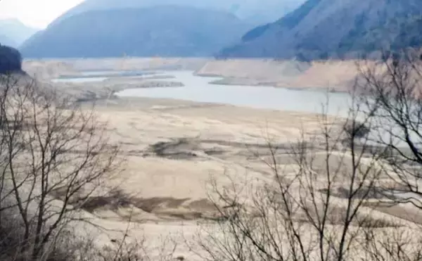 「渓流ルアー釣りでニジマス・イワナ・ヤマメと対面成功【荘川・岐阜】」の画像