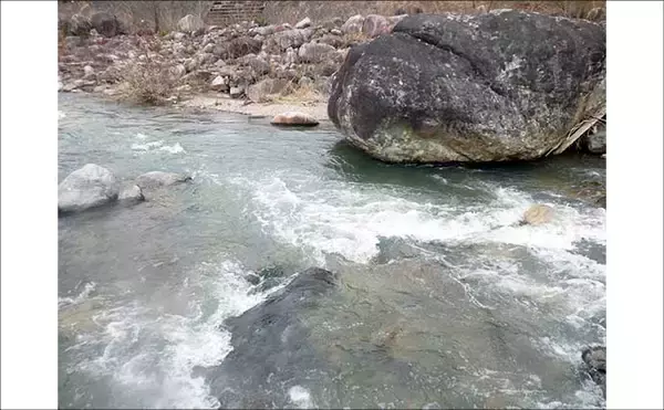 「渓流ルアー釣りでニジマス・イワナ・ヤマメと対面成功【荘川・岐阜】」の画像