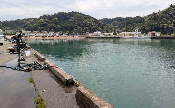 関東・サビキ釣り釣果レポート：富浦新港で20cm級カタボシイワシを快釣！【千葉】