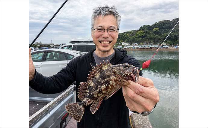 関東・サビキ釣り釣果レポート：富浦新港で20cm級カタボシイワシを快釣！【千葉】