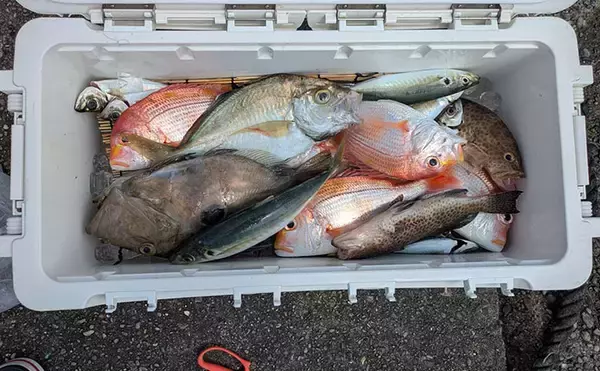 本州最南端・串本で五目ジギング満喫　苦戦しながらも美味魚でクーラー満タン！