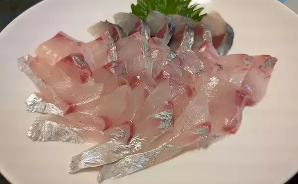 「本州最南端・串本で五目ジギング満喫　苦戦しながらも美味魚でクーラー満タン！」の画像