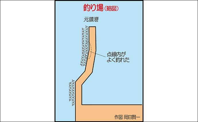 波止の穴釣りで25cm頭にアラカブ13尾　同じ穴にヒットが集中