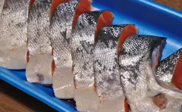 国内各地のサケ・マス養殖が活況　先行き不透明な世界情勢の影響も？