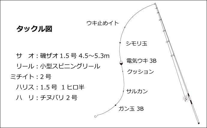 初夏の堤防アジ釣り解説 タックル 仕掛け 場所選び 釣り方 22年5月6日 エキサイトニュース