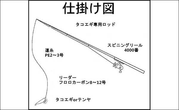 堤防タコ釣り徹底攻略 代表的な3種類の仕掛けの特徴 釣り方を解説 22年6月22日 エキサイトニュース