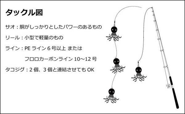 堤防タコ釣り徹底攻略 代表的な3種類の仕掛けの特徴 釣り方を解説 22年6月22日 エキサイトニュース