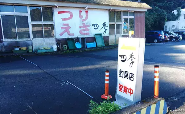 「堤防カワハギ釣りで本命7匹キャッチ【福井・菅浜漁港】ゲスト魚をいかに避けるかが肝」の画像