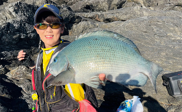 沖磯フカセ釣り43cm筆頭に良型クロ（メジナ）連発【大分】尾長グレも顔見せ