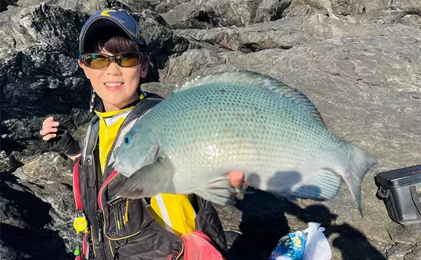 沖磯フカセ釣り43cm筆頭に良型クロ（メジナ）連発【大分】尾長グレも顔見せ