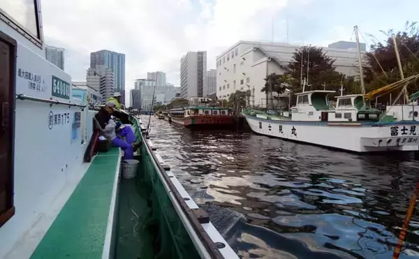 「東京湾船ハゼ釣りで船中トップ105尾！【東京・深川富士見】常連の技と焼酎イソメが釣果を後押し」の画像