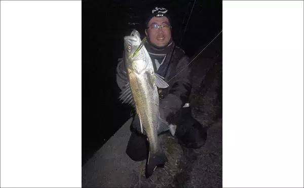 「バチ抜けシーズンの名古屋港でシーバス・クロダイ・キビレが好反応！」の画像