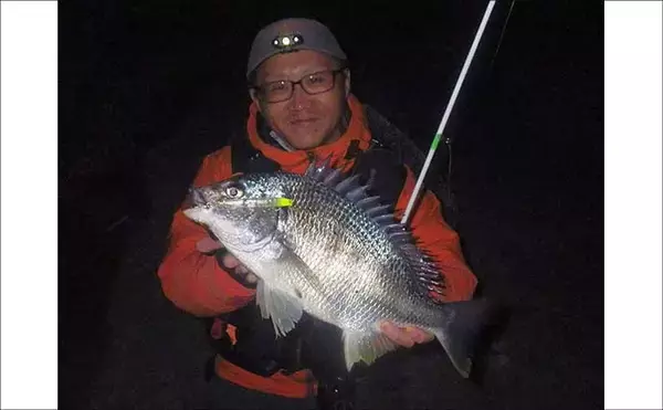 「バチ抜けシーズンの名古屋港でシーバス・クロダイ・キビレが好反応！」の画像