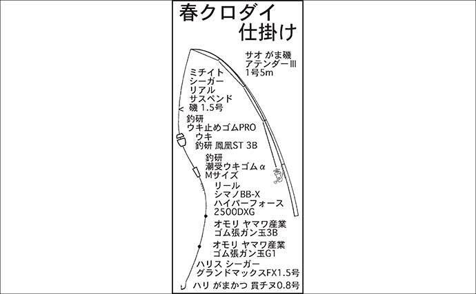 「磯には3タイプのクロダイがいる？」 春の磯フカセ釣りでクロダイを攻略しよう