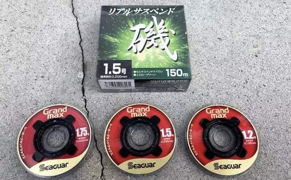 「「磯には3タイプのクロダイがいる？」 春の磯フカセ釣りでクロダイを攻略しよう」の画像