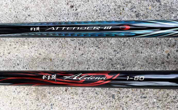 「磯には3タイプのクロダイがいる？」 春の磯フカセ釣りでクロダイを攻略しよう