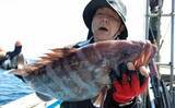 「玄界灘で30～40cmのイサキの数釣りチャンス！【船釣り釣果速報7選・福岡】」の画像5