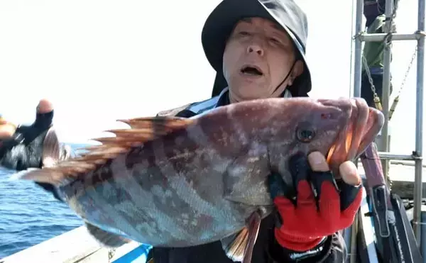 「玄界灘で30～40cmのイサキの数釣りチャンス！【船釣り釣果速報7選・福岡】」の画像