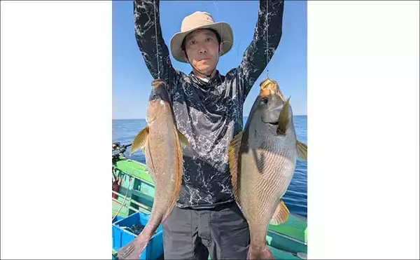「玄界灘で30～40cmのイサキの数釣りチャンス！【船釣り釣果速報7選・福岡】」の画像