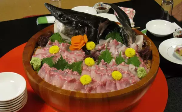 「日本各地で絶滅したはずの「チョウザメ」が見つかる　そのワケとは？」の画像