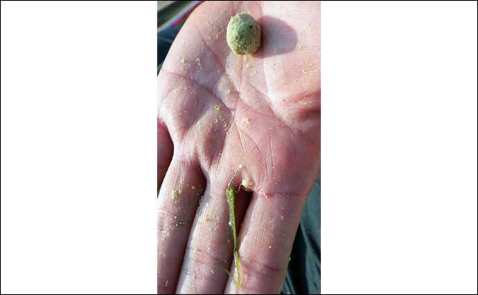 吉田康雄のザ・チャレンジへらぶな　【サンデーオープンに参加するぞ！#4】