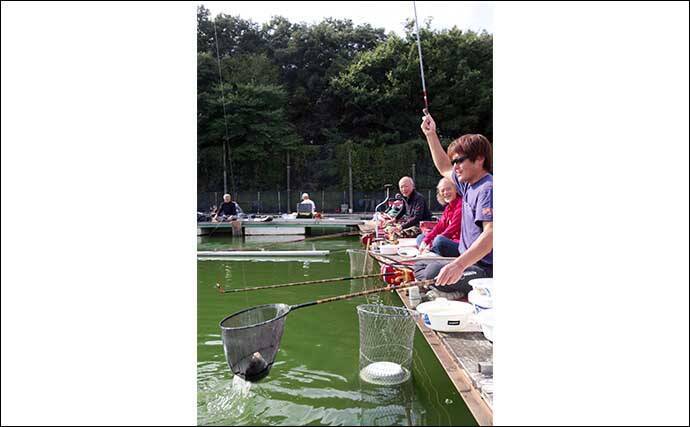 吉田康雄のザ・チャレンジへらぶな　【サンデーオープンに参加するぞ！#4】